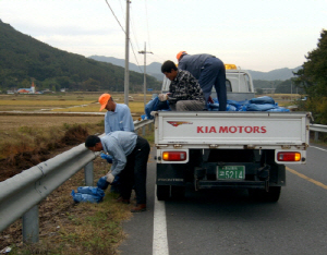 올 겨울에도 청양 도로안전 문제없습니다!