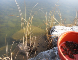 청양 지천생태공원, 생태학습의 장으로 활용