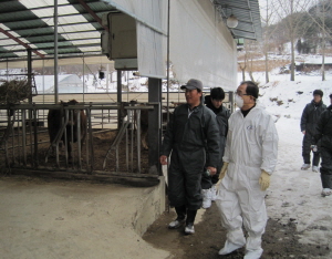 구제역 방역 근무 안전과 건강 최우선
