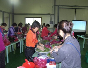 청양 구기자 가공식품화, 농가 소득 창출