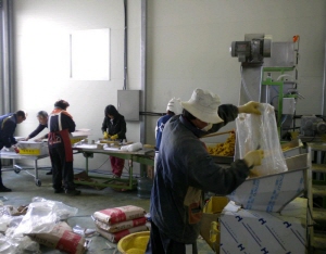 청양, 벌꿀생산 기술지원 강화