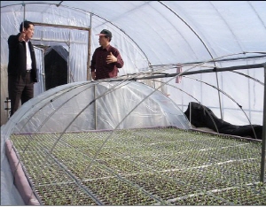 청양고추 명품 만들기 프로젝트 가동