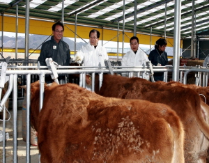 이석화 청양군수, 한우농장 방문 백신접종 활동