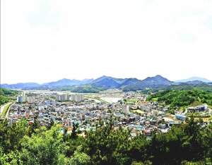 내가 군수라면 어떻게 할 것인가