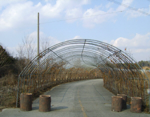 청양읍 안선영 선생님, 청양군에 토지 기부