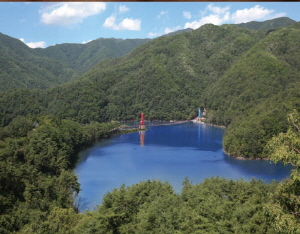 천장호, 청양 넘어 전국적 명소 비상 준비