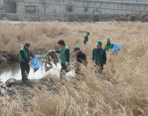 청양지천살리기운동, 전 군민이 앞장