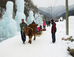 2011 풀뿌리 마을기업 2개 단체 선정