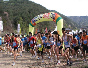 ‘벚꽃과 함께 칠갑산을 달리자’