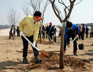 청양, 금강 희망의 숲 ‘푸르게 푸르게’