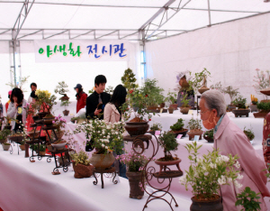 우리꽃의 아름다움에 빠져보세요