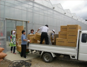 청양 고추육묘장 ‘우량 고추묘’ 공급 완료