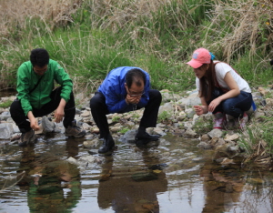 이석화 청양군수 청정청양 홍보 파격 행보