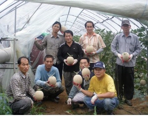 최고의 맛 “탑멜론” 을 입안에