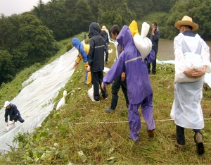 청양군, 예산조기확보해 수해복구 나선다