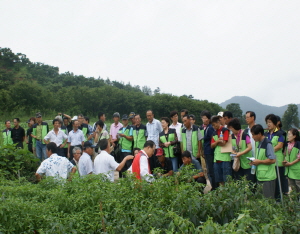 고추선도농가 현장비교 컨설팅 교육