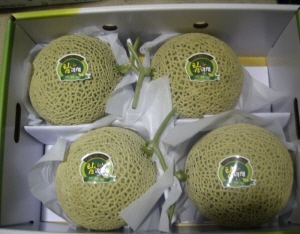 청양어얼스멜론, 전국 탑과채 최고명품 선정