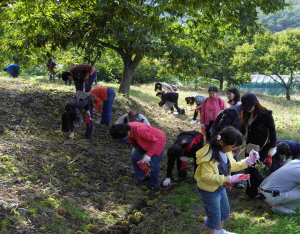 건강한 먹거리, 알밤군과 참게양의 이색만남