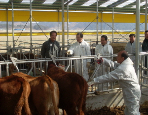 구제역 예방접종 농가 실명제 추진