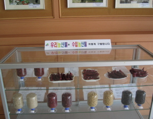 우리농산물 ‘청양고추’ 지키기 총력