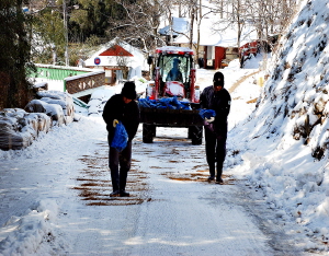 개곡리 생활안전 4인방 납시오~