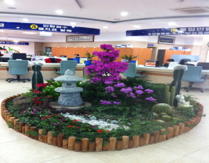 민원봉사실에는 벌써 봄이 한창~!!