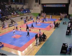 제12회 세계대학태권도선수권대회 파견 국가대표 선수 선발대회 성료