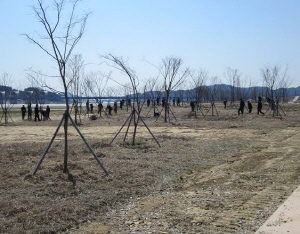 금강 희망의 숲 정비