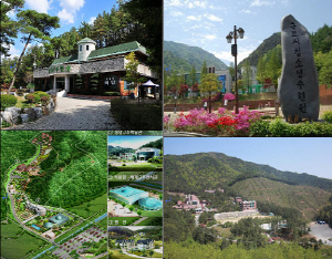 청정 청양, 워크숍 장소로 ‘각광’