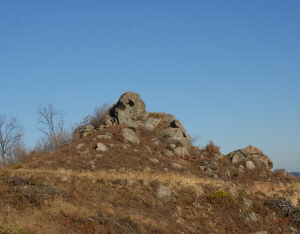 전국에 있는 냉면 마니아들은 다(多) 모여라!!