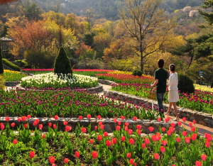 5월 가정의 달에는 청양 “고운식물원”이 최고
