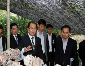 청양에 적합한 새로운 표고재배 방법 찾았다