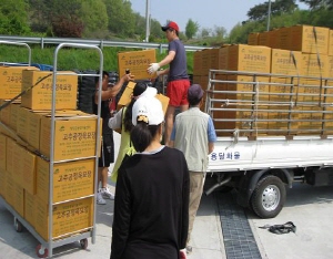 청양군 명품청양고추 생산에 힘찬 시동