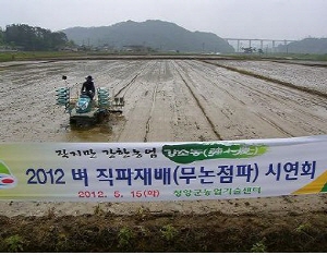 청양군, 벼 직파재배로 생산비 절감