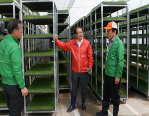 ‘청양 벼 공동육묘장 육묘 첫 출하’