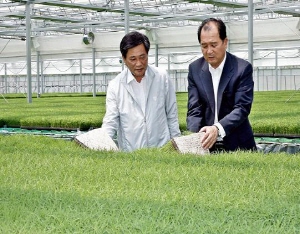 청양군, 벼 예비 공정육묘 2만상자 공급