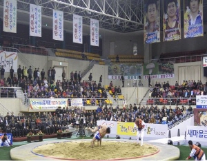 단오장사씨름대회 청정청양에서 ‘팡파르’