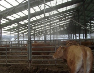 ‘청양군, 폭염대비 가축 사육 환경관리 철저 당부’