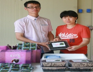 ‘오디? 이제는 영향만점 칠갑산 오디가 뜬다’