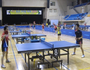 청양군, 스포츠 메카로 우뚝