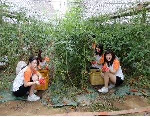 “부족한 일손 도우러 우리가 왔습니다”