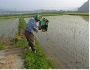 ‘왕우렁이가 만드는 칠갑청정 친환경쌀’