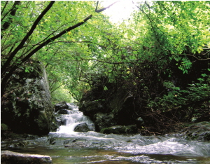 더위탈출! 푸른 청양에서 여름 즐기기