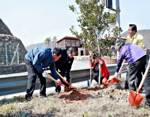 청양군, 사계절 늘 푸른 명품 가로수길 조성 박차