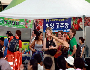 ‘제13회 청양고추․구기자 축제 이벤트 행사’ 참여 희망자 모집