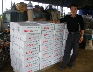 청양군, 친환경 ‘청정 쌈채소’로 틈새시장 공략