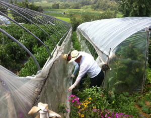 청양군의회, 태풍 ‘볼라벤’ 피해복구 구슬땀 흘려