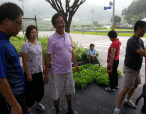 청양군, 가을 김장용 배추 생산에 힘찬 시동