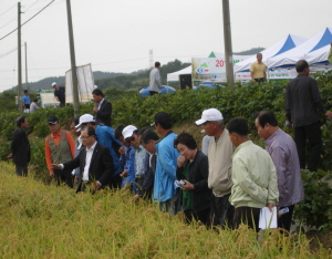 2012년 벼농사 종합평가회 개최