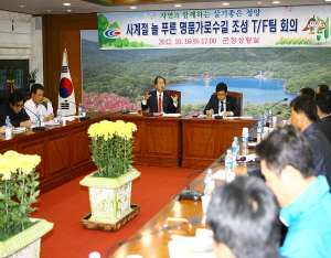 청양군, 세계 최고 명품 가로수길 만든다